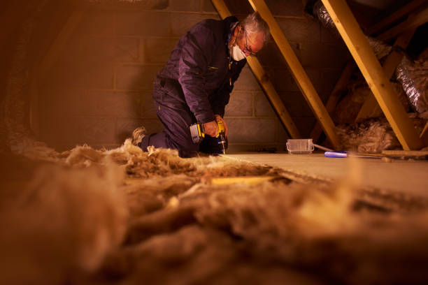 Best Insulation Installation Services in Peculiar, MO